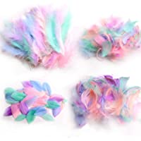 Plumas de ganso de colores para manualidades- bodas y decoración de fiestas- paquete de 300 unidades a